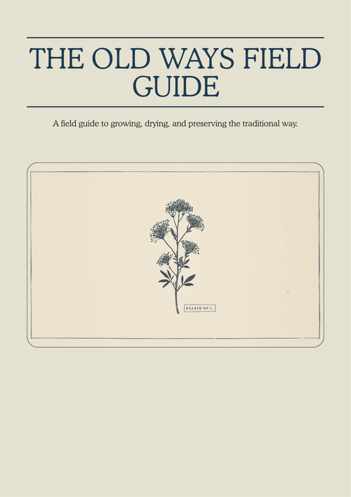 The Old Ways Field Guide — Plate No. 1, herbarium specimen cover
